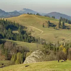Malownicze, pofałdowane wzgórza Wysokich Pienin jesienią. Kręta ścieżka prowadzi przez zielone łąki i lasy.