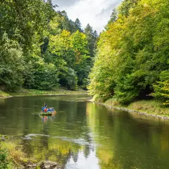 Spływ Dunajcem w Pieninach. Tratwa z turystami płynie spokojną rzeką otoczoną zielonymi lasami.
