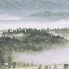 Mgliste poranki w Górach Kaczawskich. Las spowity parującą mgłą, a w dole samotny dom.