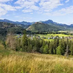 Widok na Poronin i Tatry. W oddali widać zabudowania i zielone pola, a na pierwszym planie kwitnące trawy. Poronin atrakcje zachwycają o każdej porze roku.