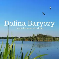 Spokojna tafla wody, trzciny i dwa ptaki szybujące na błękitnym niebie nad Doliną Baryczy.