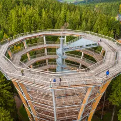 Drewniana wieża widokowa wznosi się pośród lasów Kotliny Kłodzkiej. Kręte ścieżki i spiralne schody zapraszają do podziwiania panoramy.