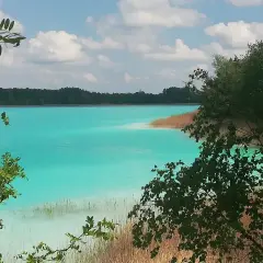 Turkusowe jezioro w Koninie, otoczone lasem i trzcinami, z gałęziami drzew na pierwszym planie.