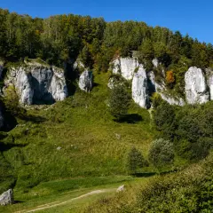 Skały wapienne w Dolinie Kobylańskiej, porośnięte zielenią i drzewami, na tle błękitnego nieba.