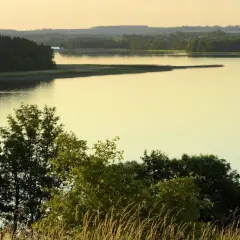 Zachód słońca nad jeziorem Śniardwy. Woda odbija złote światło, a na brzegu szumią trawy i drzewa.