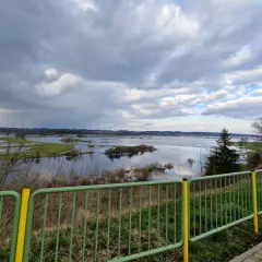 Rozlewiska Narwi koło Łomży, malownicze widoki i dzika przyroda to jedne z wielu atrakcji tego regionu.
