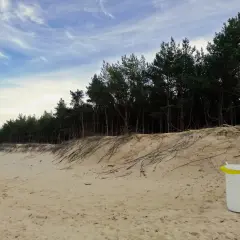 Piaszczysta plaża na wyspie Sobieszewskiej z sosnowym lasem w tle i koszem na śmieci.