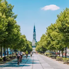 Aleja z drzewami prowadzi do Jasnej Góry, ukazując jedne z najpiękniejszych częstochowskich atrakcji. Ludzie spacerują i jeżdżą na rowerach.