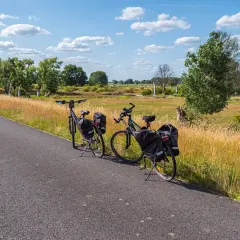 Dwa rowery z sakwami czekają na podróż po malowniczych ścieżkach rowerowych Szczecina, wśród pól i drzew.