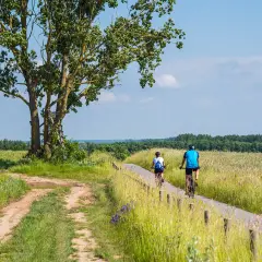 Dwie osoby na rowerach przemierzają malownicze trasy rowerowe zachodniopomorskie, wśród pól i zieleni.