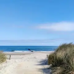 Ścieżka przez wydmy prowadzi do morza. Piękna plaża i błękitne niebo to idealne **sarbinowo atrakcje** na wakacje.