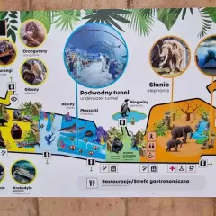 Mapa zoo z sekcjami: orangutany, słonie, podwodny tunel, gibony, krokodyle, niedźwiedzie. Widać też restauracje.