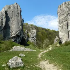 Dolina Bolechowicka z wapiennymi ostańcami i ścieżką wijącą się wśród zieleni.