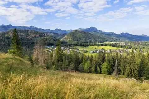 Widok na Poronin i Tatry. W oddali widać zabudowania i zielone pola, a na pierwszym planie kwitnące trawy. Poronin atrakcje zachwycają o każdej porze roku.