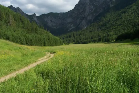 Ścieżka wije się przez zieloną, kwiecistą dolinę małej łąki, otoczoną gęstym lasem i skalistymi szczytami.