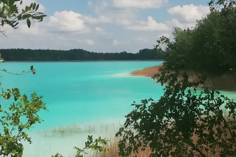 Turkusowe jezioro w Koninie, otoczone lasem i trzcinami, z gałęziami drzew na pierwszym planie.