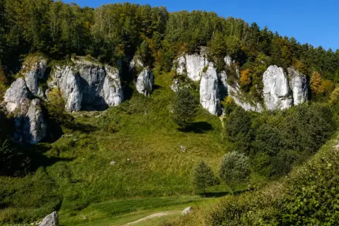 Skały wapienne w Dolinie Kobylańskiej, porośnięte zielenią i drzewami, na tle błękitnego nieba.