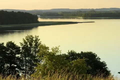 Zachód słońca nad jeziorem Śniardwy. Woda odbija złote światło, a na brzegu szumią trawy i drzewa.