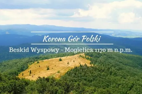 Widok na Beskid Wyspowy z Mogiielicy. W oddali łagodne pasma górskie, na pierwszym planie zielone lasy i żółta polana.