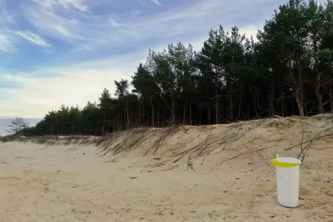 Piaszczysta plaża na wyspie Sobieszewskiej z sosnowym lasem w tle i koszem na śmieci.