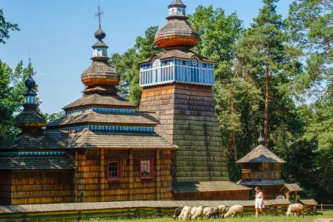 Drewniana cerkiew w Sanoku, jedna z głównych atrakcji, z owcami pasącymi się na trawie.