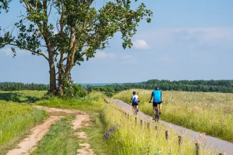 Dwie osoby na rowerach przemierzają malownicze trasy rowerowe zachodniopomorskie, wśród pól i zieleni.