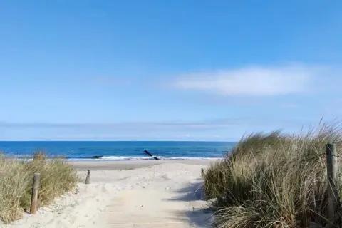 Ścieżka przez wydmy prowadzi do morza. Piękna plaża i błękitne niebo to idealne **sarbinowo atrakcje** na wakacje.