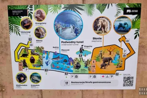 Mapa zoo z sekcjami: orangutany, słonie, podwodny tunel, gibony, krokodyle, niedźwiedzie. Widać też restauracje.