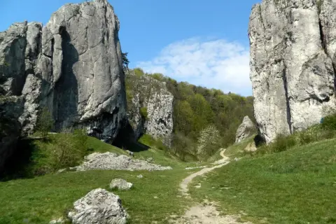 Dolina Bolechowicka z wapiennymi ostańcami i ścieżką wijącą się wśród zieleni.