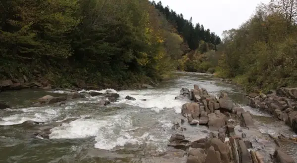 Kamieniste koryto rzeki w rezerwacie przyrody Sine Wiry, z rwącym nurtem i bujną zielenią po bokach.