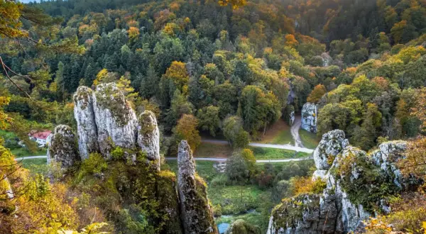 Jesienne barwy lasów i wapienne skały w Ojcowski Park Narodowy.