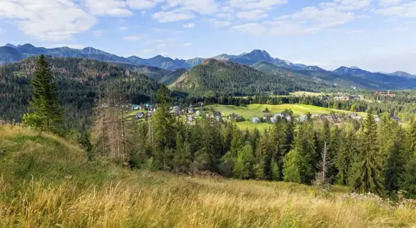 Widok na Poronin i Tatry. W oddali widać zabudowania i zielone pola, a na pierwszym planie kwitnące trawy. Poronin atrakcje zachwycają o każdej porze roku.