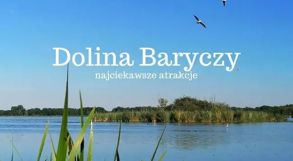 Spokojna tafla wody, trzciny i dwa ptaki szybujące na błękitnym niebie nad Doliną Baryczy.