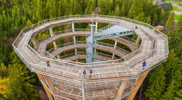 Drewniana wieża widokowa wznosi się pośród lasów Kotliny Kłodzkiej. Kręte ścieżki i spiralne schody zapraszają do podziwiania panoramy.