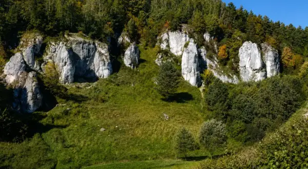 Skały wapienne w Dolinie Kobylańskiej, porośnięte zielenią i drzewami, na tle błękitnego nieba.