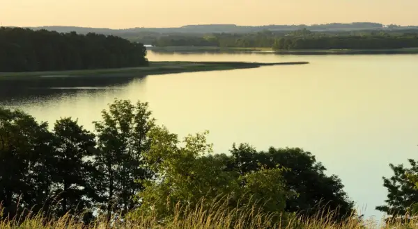 Zachód słońca nad jeziorem Śniardwy. Woda odbija złote światło, a na brzegu szumią trawy i drzewa.