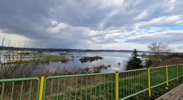 Rozlewiska Narwi koło Łomży, malownicze widoki i dzika przyroda to jedne z wielu atrakcji tego regionu.
