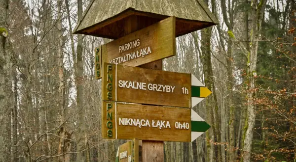 Drewniany drogowskaz w lesie wskazuje drogę do "Skalnych Grzybów" (1h) i "Niknącej Łąki" (0h40).