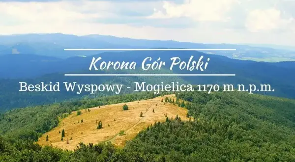 Widok na Beskid Wyspowy z Mogiielicy. W oddali łagodne pasma górskie, na pierwszym planie zielone lasy i żółta polana.