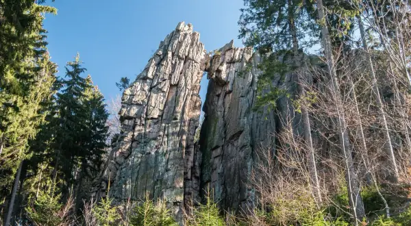 Skalne formacje w Rudawskim Parku Krajobrazowym, porośnięte drzewami, tworzą malowniczy widok.