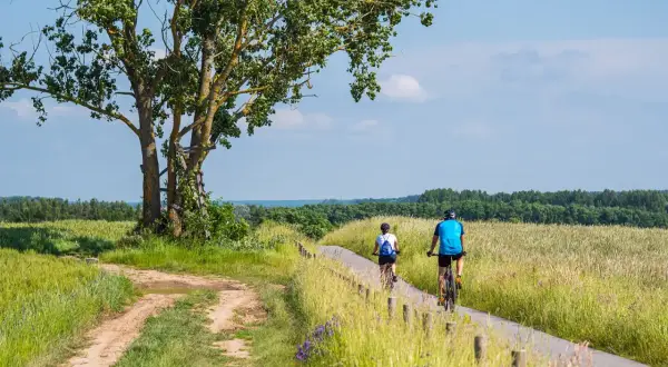 Dwie osoby na rowerach przemierzają malownicze trasy rowerowe zachodniopomorskie, wśród pól i zieleni.