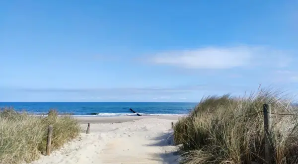 Ścieżka przez wydmy prowadzi do morza. Piękna plaża i błękitne niebo to idealne **sarbinowo atrakcje** na wakacje.