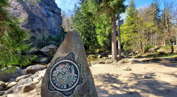 Kamień z logo Krucze Skały przy wejściu na via ferrata. W tle skalne ściany i las.