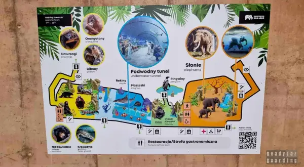 Mapa zoo z sekcjami: orangutany, słonie, podwodny tunel, gibony, krokodyle, niedźwiedzie. Widać też restauracje.