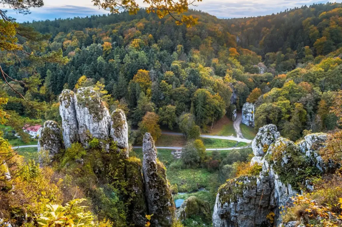 Jesienne barwy lasów i wapienne skały w Ojcowski Park Narodowy.