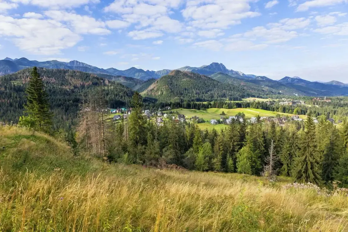 Widok na Poronin i Tatry. W oddali widać zabudowania i zielone pola, a na pierwszym planie kwitnące trawy. Poronin atrakcje zachwycają o każdej porze roku.