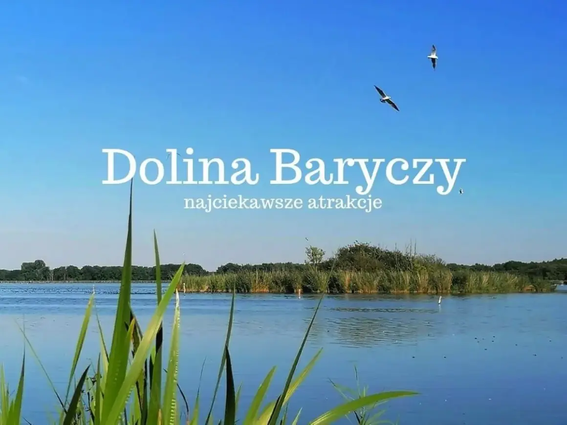 Spokojna tafla wody, trzciny i dwa ptaki szybujące na błękitnym niebie nad Doliną Baryczy.