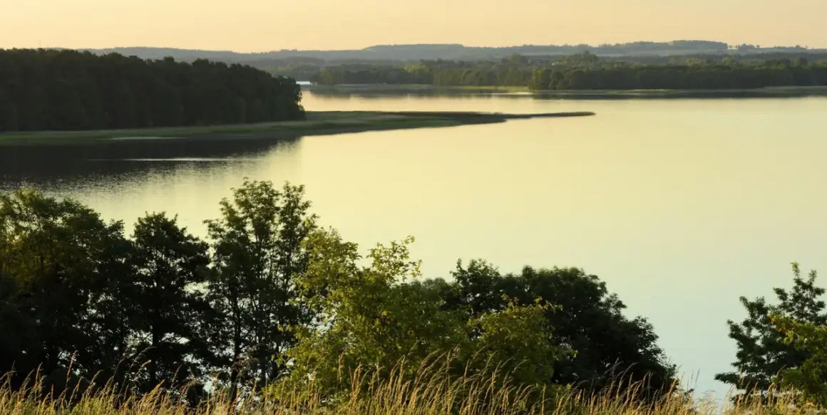 Zachód słońca nad jeziorem Śniardwy. Woda odbija złote światło, a na brzegu szumią trawy i drzewa.
