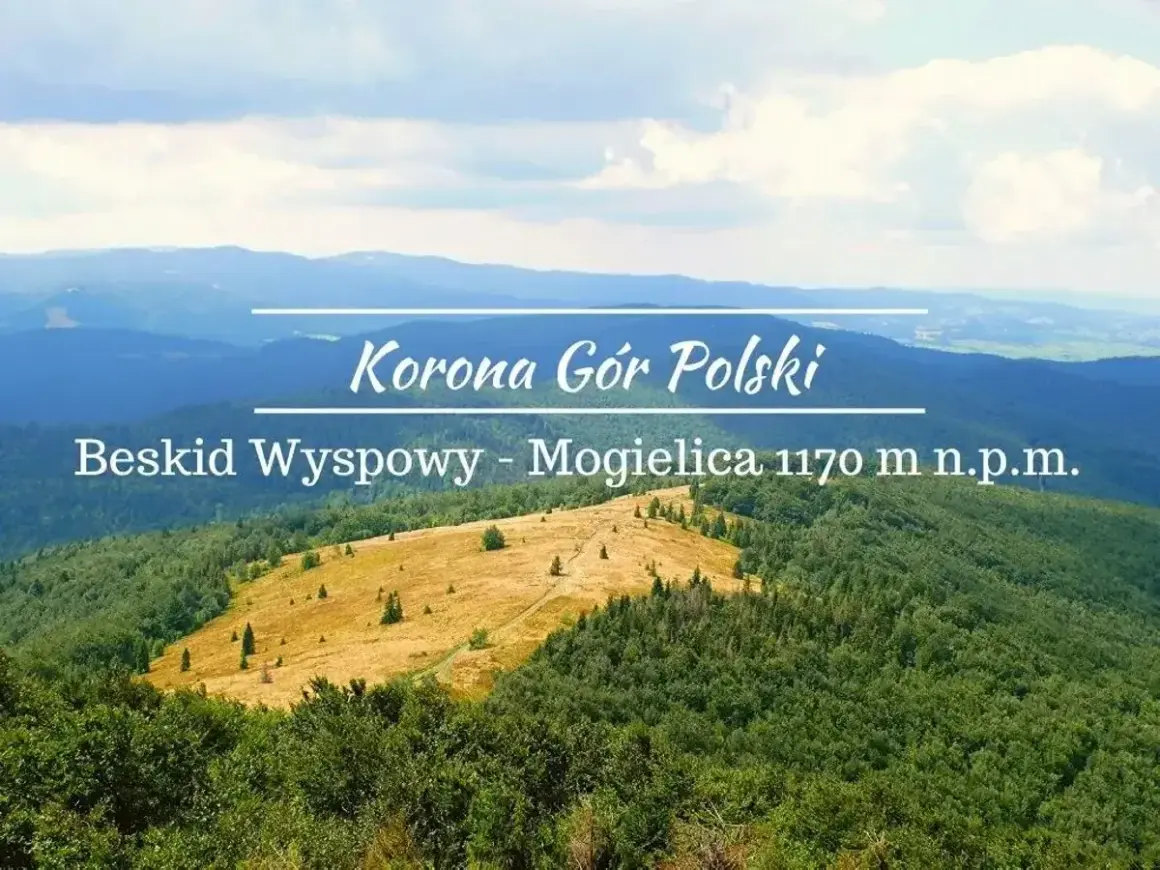 Widok na Beskid Wyspowy z Mogiielicy. W oddali łagodne pasma górskie, na pierwszym planie zielone lasy i żółta polana.