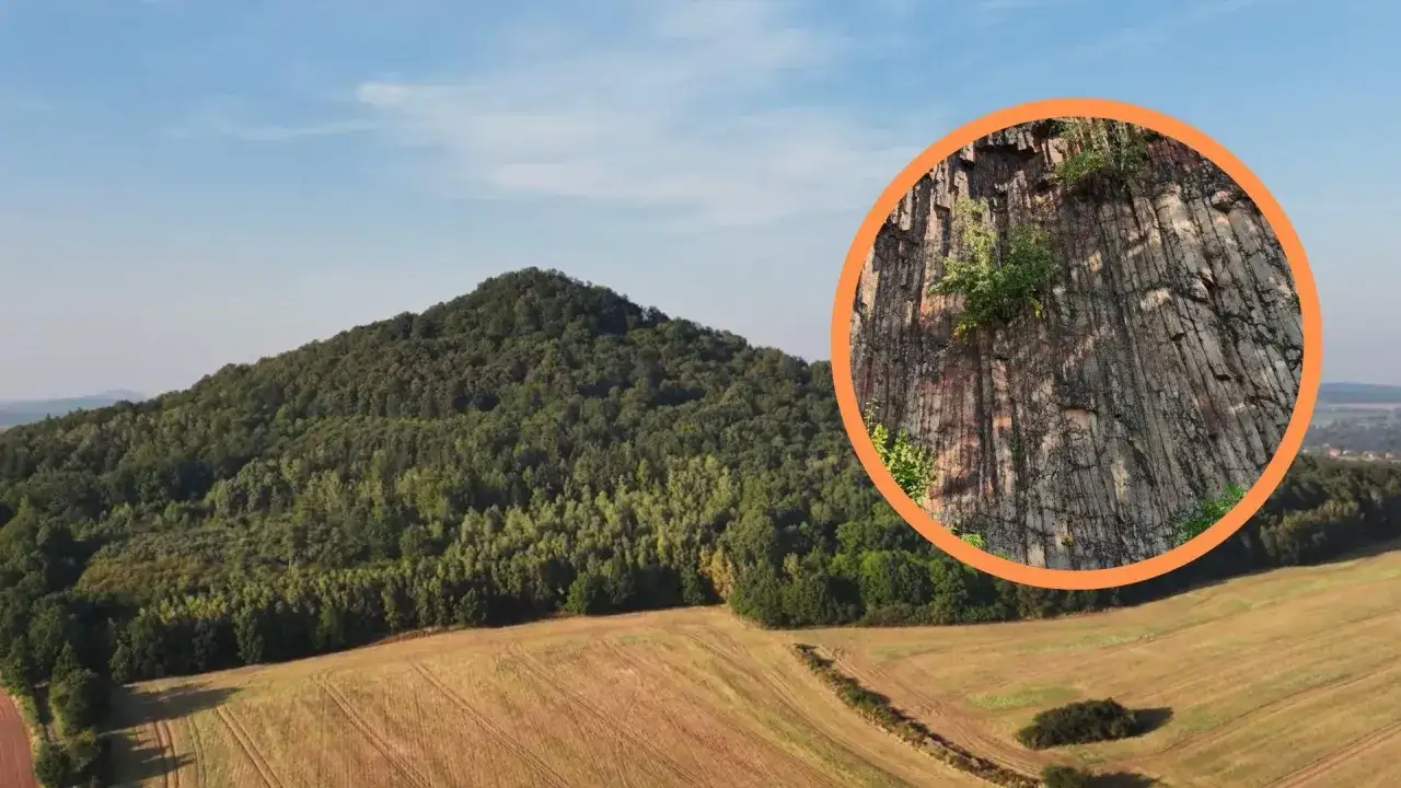 Wulkaniczne krajobrazy Polski: zalesione wzg&oacute;rze i zbocze z bazaltowymi kolumnami.